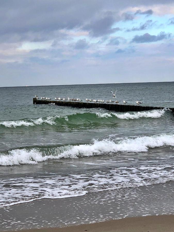 Kuestenliebe Graal-Mueritz Gelbensande Exteriér fotografie